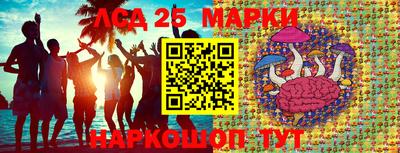 спиды Краснодар