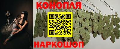 спиды Краснодар