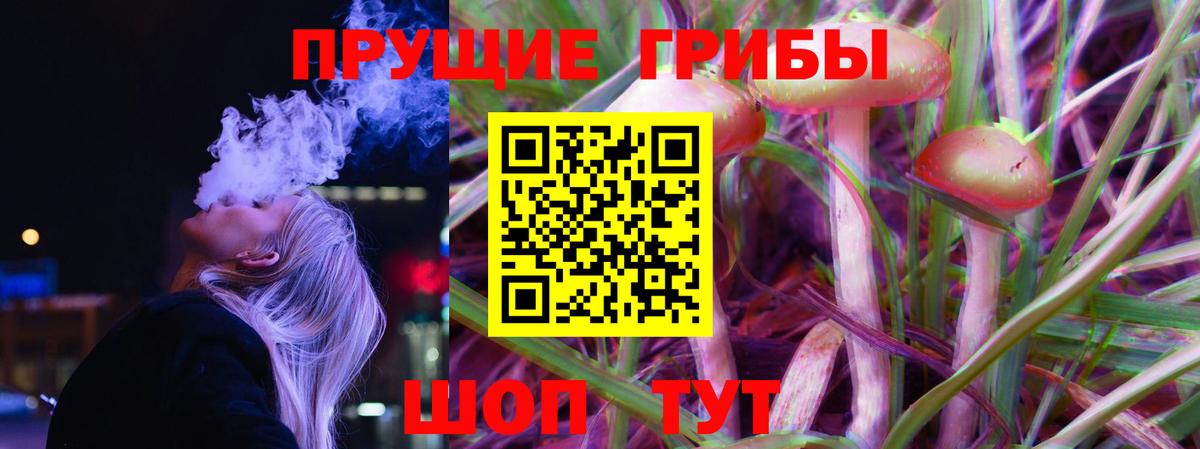 Галлюциногенные грибы Psilocybine cubensis  Галлюциногенные грибы Psilocybe  Железногорск  Вход с VPN 